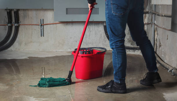 Best Professional water damage repair  in Oak Grove, SC