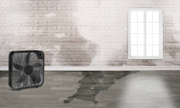 Best Water damage restoration company  in Oak Grove, SC