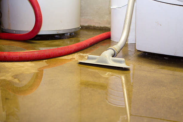 Best Emergency water damage restoration  in Oak Grove, SC