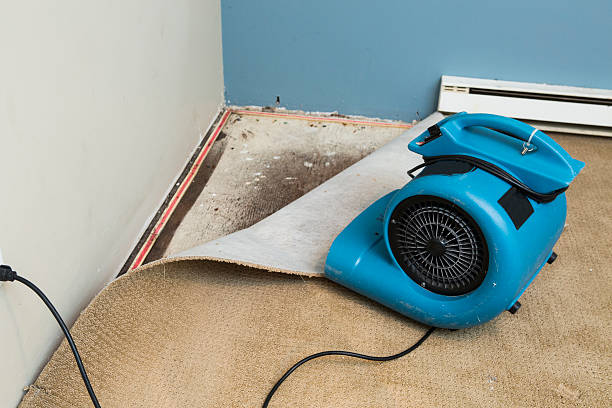 Best Emergency water damage restoration  in Oak Grove, SC